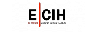 Logo ECIH