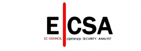 Logo ECSA